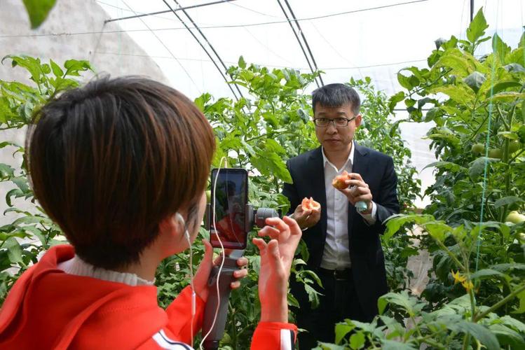 副县长"直播带货"助力贫困村农产品线上销售
