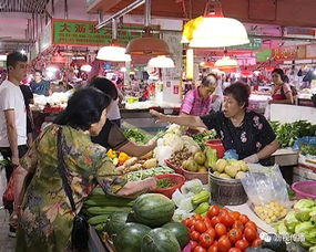 食品药品监管视窗 大沥 7月食用农产品快检合格率为99.56