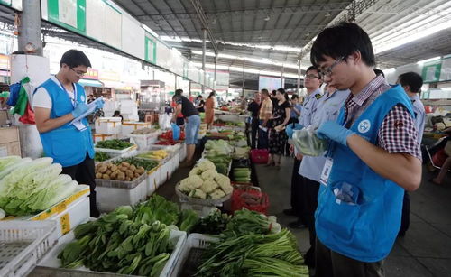 人大代表政协委员现场见证 抽检的食用农产品全部合格