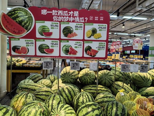 市场解码丨今年夏天,在四川可以实现 水果自由 吗