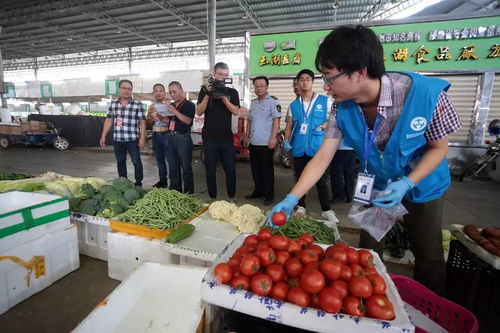人大代表政协委员现场见证 抽检的食用农产品全部合格