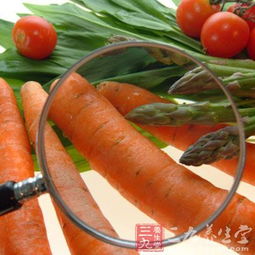浙江将建统一食品监管信息平台