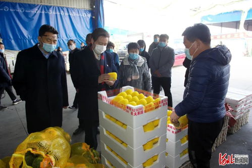 邢台市市场监管局党组书记柳金钟实地检查食用农产品市场销售信息追溯系统建设工作