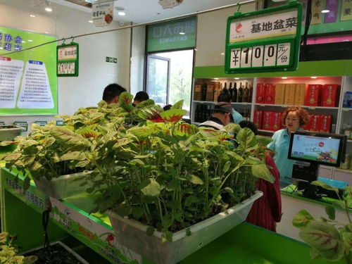 优质农产品哪里买 我市首家优质农场协会线下体验店开业