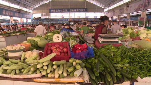 整治 群众最不满意的十件事 免费的食用农产品快速检测服务正逐步推进