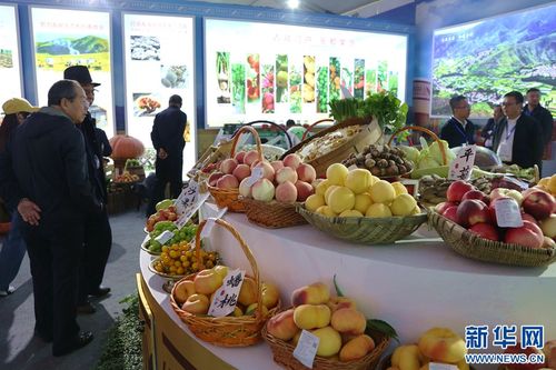 欢庆丰收节 青海 河湟 第八届农产品展交会开幕