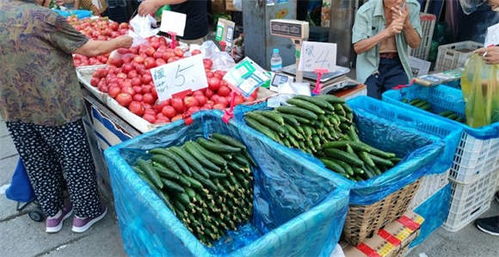 15种蔬菜12种涨 济南菜价持续上涨,何时变回 家常菜