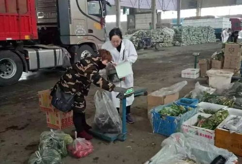 州农产品检验检测中心加大检测力度 确保春节期间食用农产品质量安全