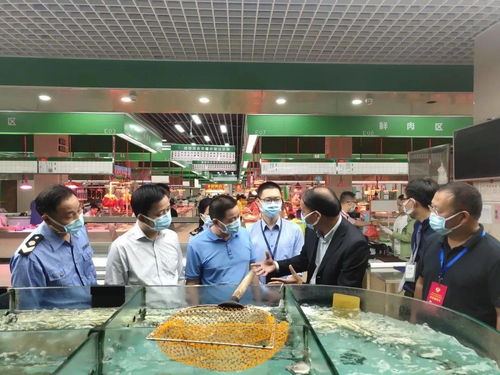 食用农产品快检效果好 市市场监管局邀请 两代表一委员 常态参与食品安全监管工作