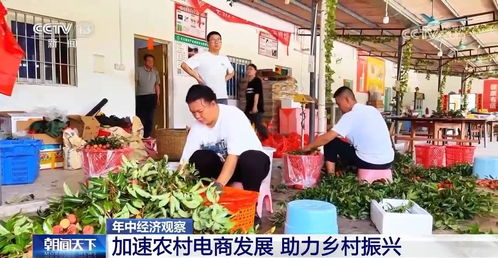 年中经济观察 助力农产品打通 最初一公里 农村电商加速发展