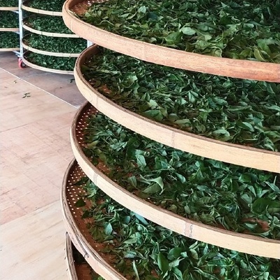 散装(食用农产品)2-3年古树茶散装(食用农产品)2-3年古树茶供应_散装(食用农产品)2-3年古树茶散装(食用农产品)2