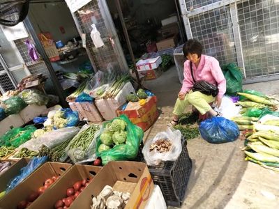 暑期社会实践 | “融宁乡音小分队”寻访农产品批发中心,探索旅顺口区新发展