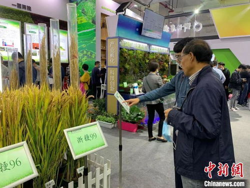 2019年浙江县域农产品网络零售额达819亿元