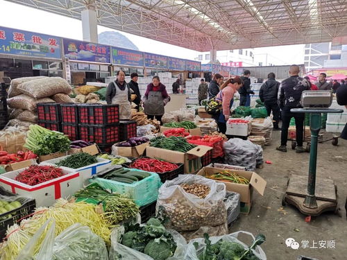 农产品批发市场 货物充足 市民采购忙