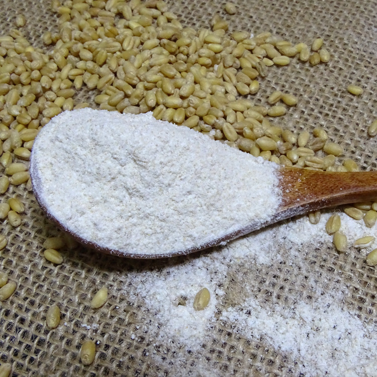 【通用面粉五斤】山东小麦粉 白面 中筋通用面粉馒头包子水饺粉