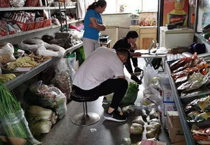 敖汉旗市场监管局开展夏季食用农产品抽检工作