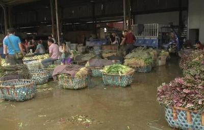 菜价越来越“冷”!30种蔬菜又降价,应季蔬菜批量上市成主因