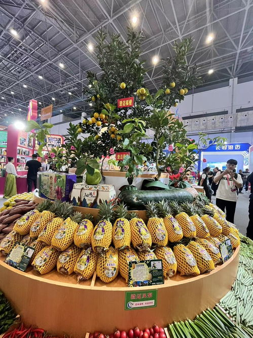 澄迈携116款特色农产品亮相冬交会 央广网