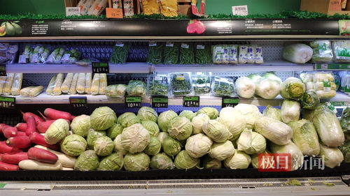 雪后武汉鲜活农产品产销两旺，日均交易量突破7000吨